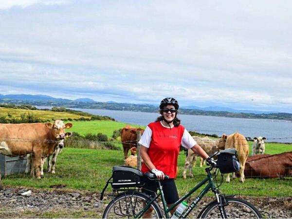 Radfahrer und Khe - Schtze Irlands