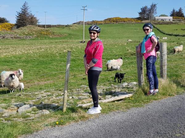Radfahrerinnen mit Schafen am Wegrand