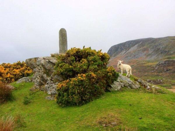 Denkmal und Lamm - Schtze Irlands