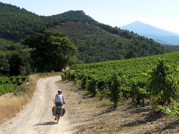die Weingrten von Rioja