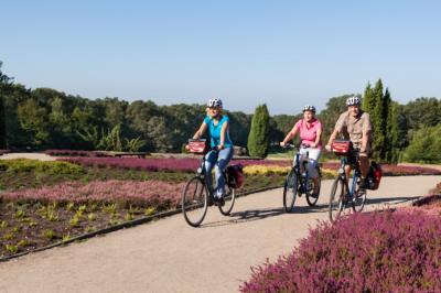 cyclists at the Lneburg Heath