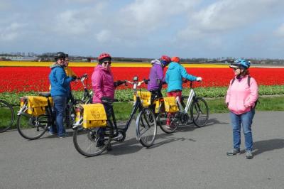 cyclists near tulip field