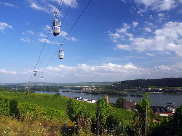 vineyards near Rdesheim
