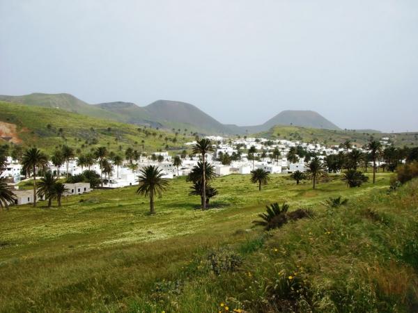 Valley of thousand palmtrees