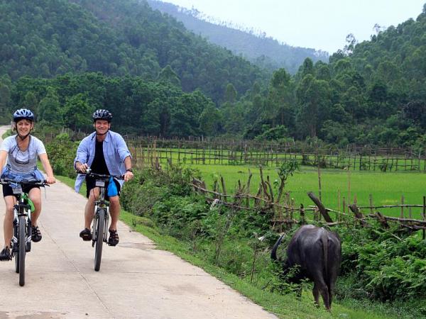 Radfahrer auf der Radreise im Vietnam vorbei an gruenen Feldern mit grasendem Wasserbueffel