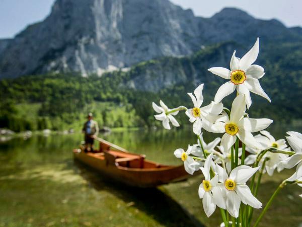 Holzboot und Blumen
