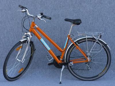 Beispiel Leihrad - example rental bike