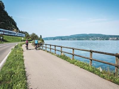 Radfahrer am Bodensee bei Berlingen