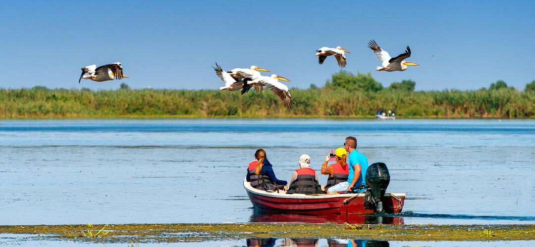 Natural Paradise Danube Delta by Bike + Boat
