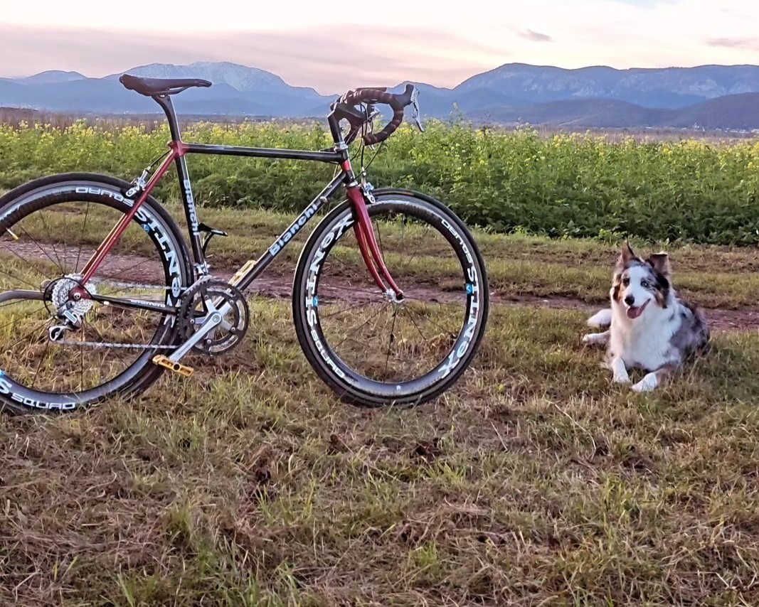 Radreisen mit Hund erleben