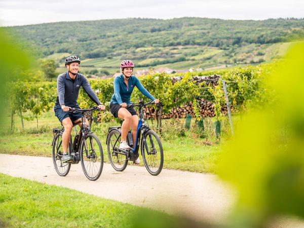 Radfahrer im Weingarten