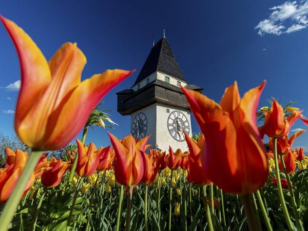 Frhling am Grazer Schlossberg: Uhrturm