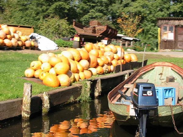 Spreewald bei Lbbenau