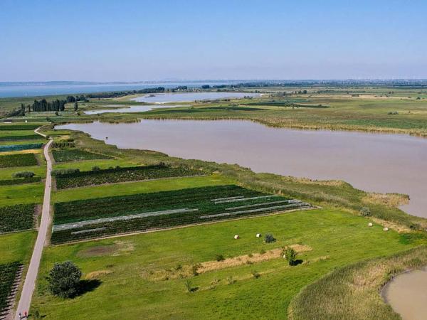 Blick auf den Nationalpark Neusiedlersee