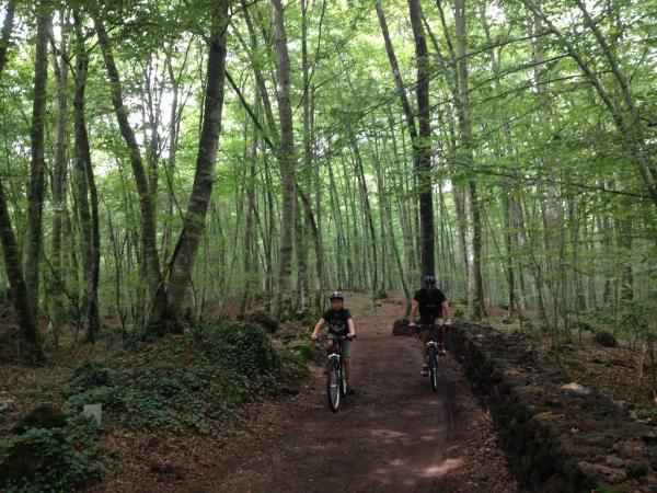 Vater und Kind unterwges auf Waldwegen