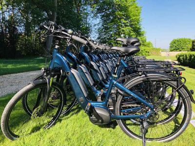 E-bikes (Pedelecs) Unisex