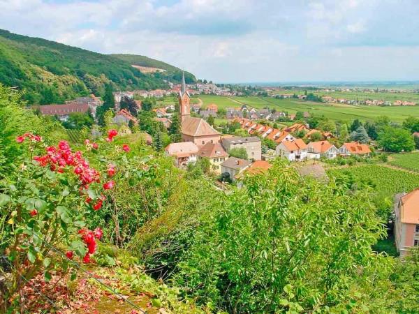 View of  Neustadt-Haardt - Weinstrasse-wineroute