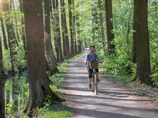 Radfahrerin auf dem Gurkenradweg im Spreewald
