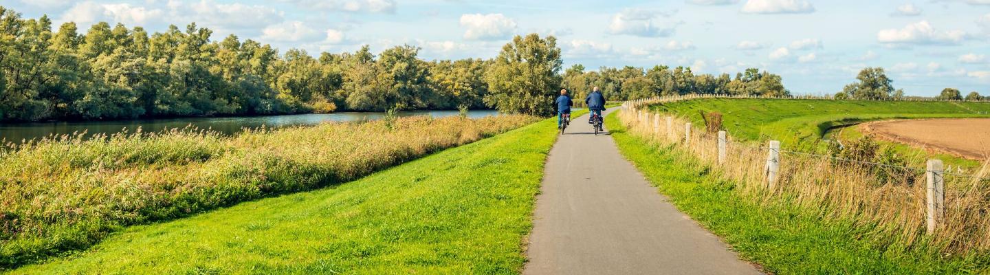 Radfahrer im Nationalpark De Biesbosch | © Adobe Stock Ruud Morijn 2018