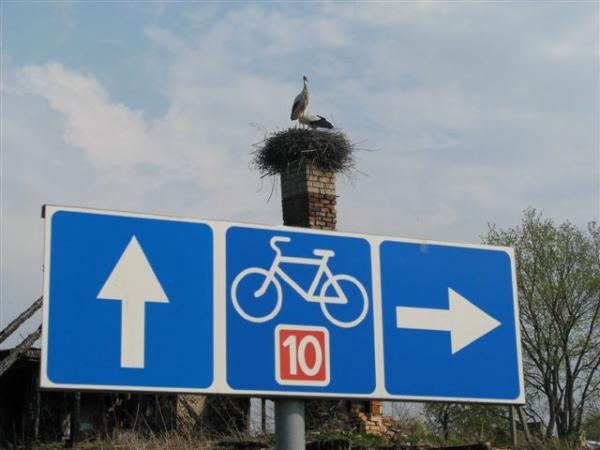 Am Radweg Nr. 10 zwischen Signstorks und Rusne