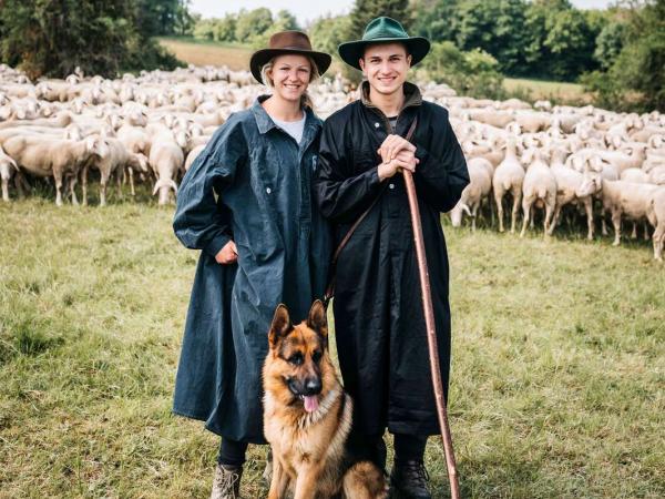 Sheep with Shepherds