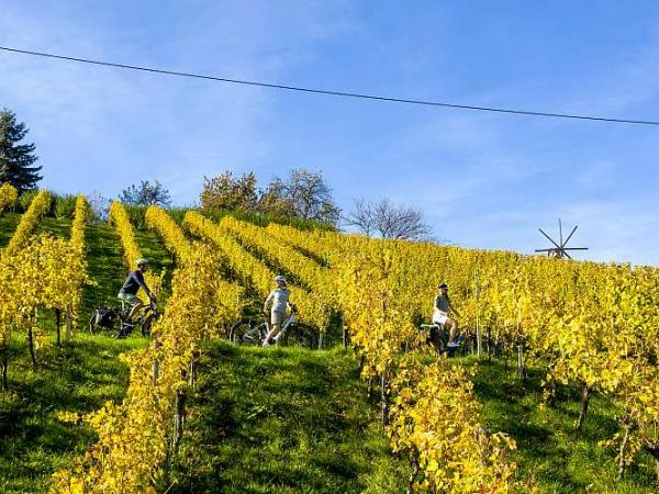 Radeln in den Weinbergen