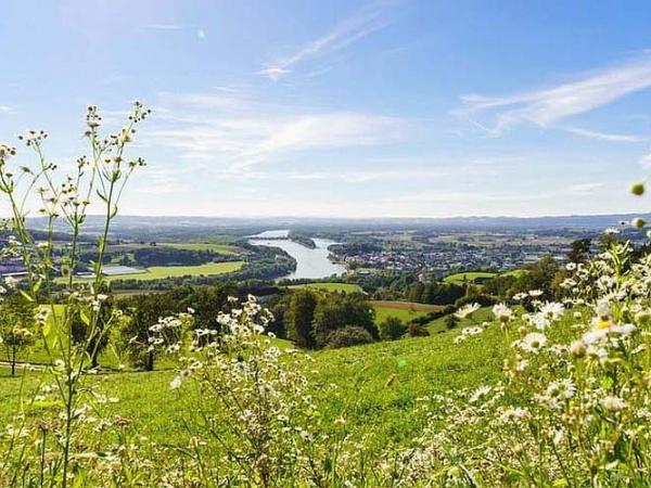 Donaublick vom Mhlviertel