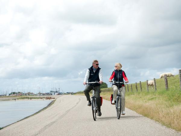 Radfahrer am Ufer des IJsselmeers