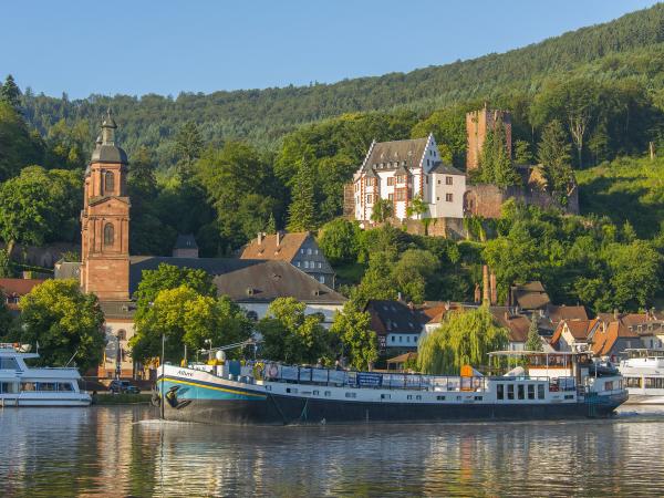 Radreise-Schiff MS Allure vor Miltenberg