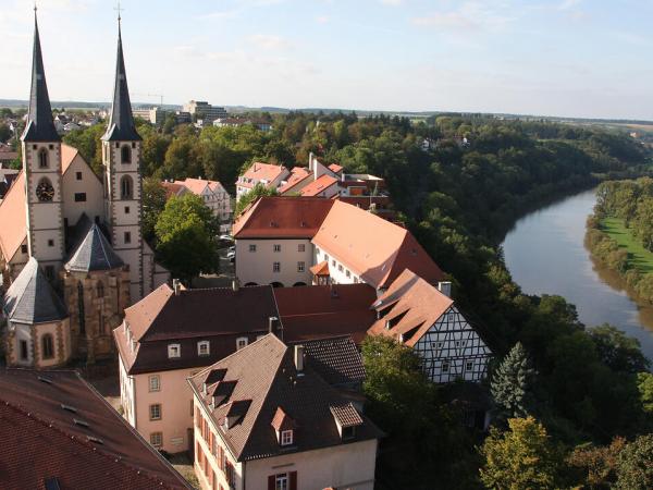 Blick auf die Kirche von Bad Wimpfen