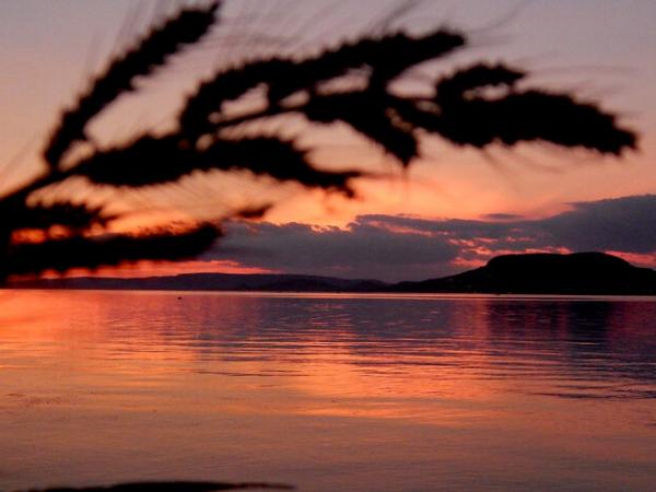 Sunset at the lake