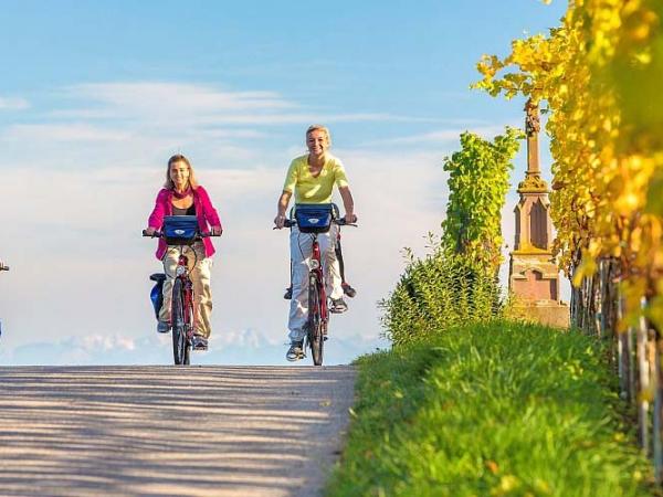 Radfahrer in den Weinbergen