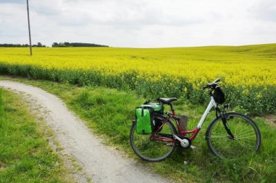 Fahrrad-Rapsfeld