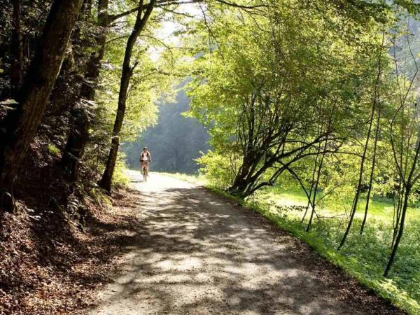 Radfahrer an der Raabklamm