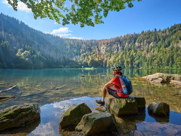 Radfahrerin am Feldsee bei Titisee-Neustadt