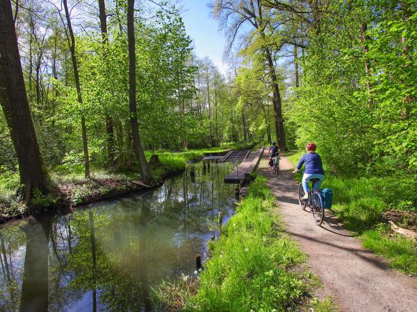 Radfahrerfamilie bei Lübbenau im Spreewald