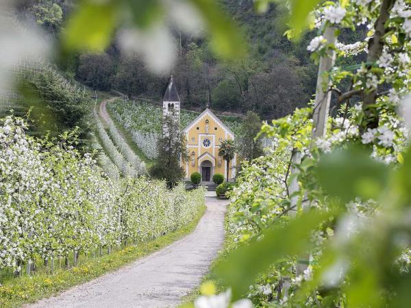 St. Valentinkirche in Meran