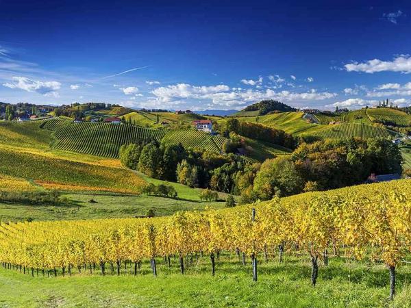 South styrian landscape