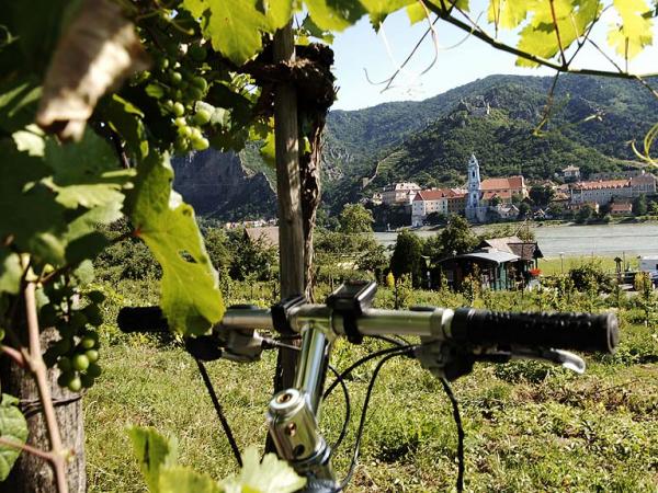 Blick auf Drnstein