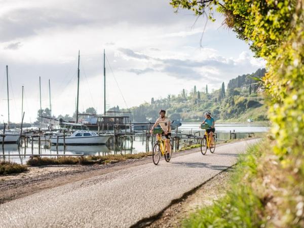 Cyclist in the port