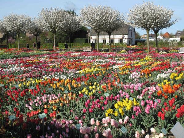 Gartenmuseum Hortus Bulborum