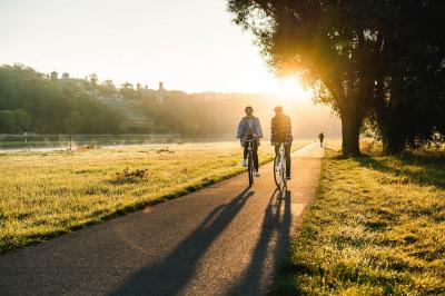 Der Elberadweg bei Dresden