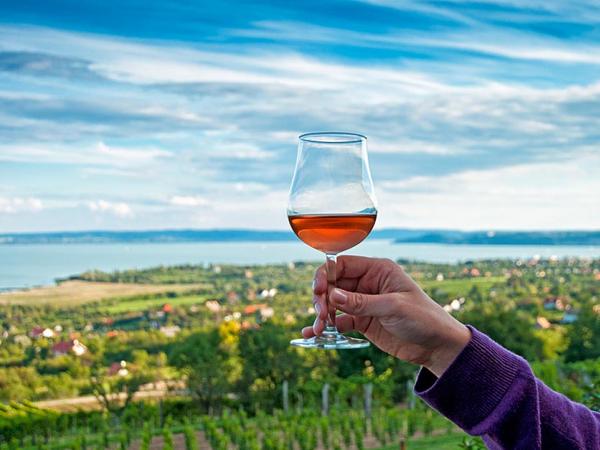 Glas Wein genieen mit Seeblick