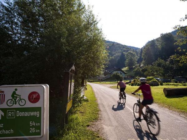 Radfahrer am Donauradweg