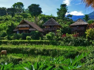 Rinjani Mountain Garden