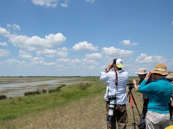 Fotostopp im Donaudelta