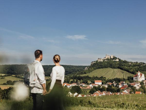 Blick auf die Burgruine Falkenstein