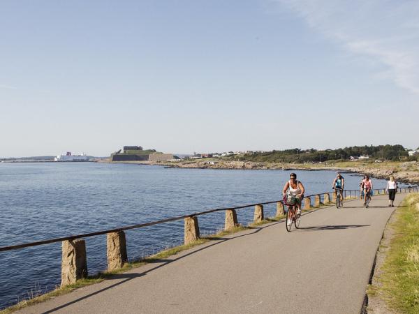 Radlergruppe an der Kste