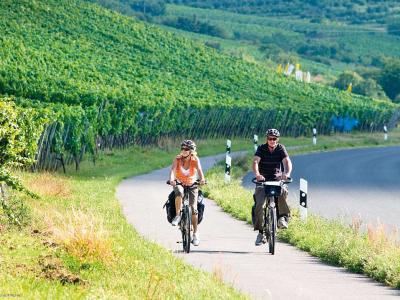 Radfahrer am Mainradweg