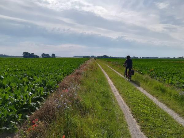 Cyclists